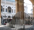 Grande Ondosauro (2012) | Loggia del Capitaniato | piazza dei Signori | Vicenza